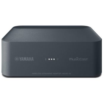 Yamaha - MusicCast WXAD-10